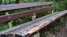 Mutter und Tochter im Wald getötet