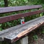 Mutter und Tochter im Wald getötet