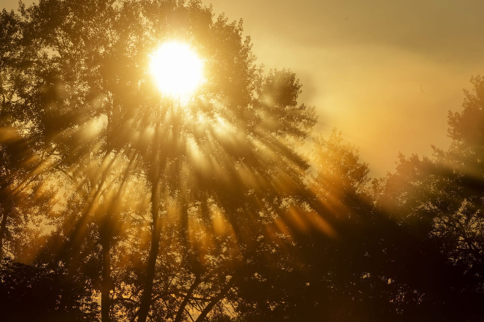 Wetter in Baden-Württemberg