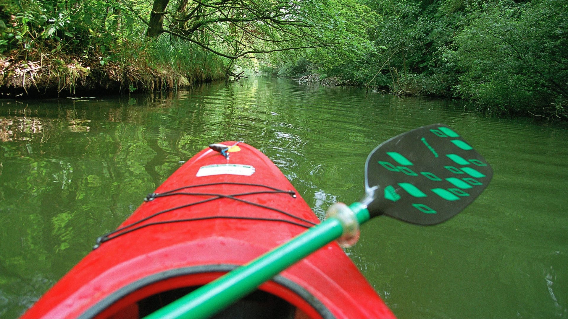 imago 80494249 imago 80494249