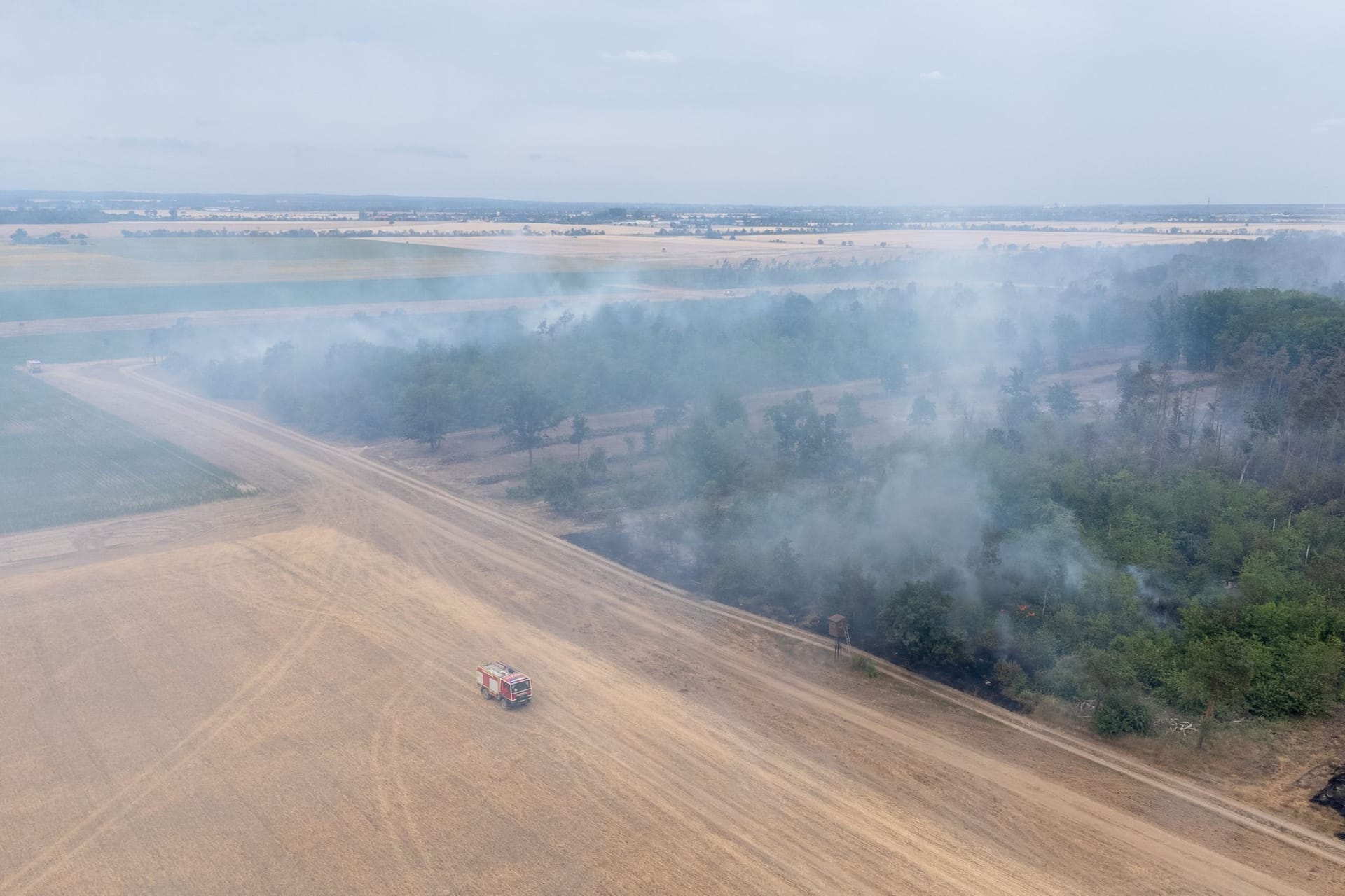 Waldbrand Gohrischheide