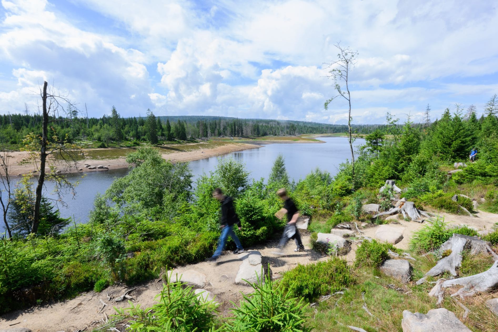 Wanderer laufen auf dem Wanderweg Harzer-Hexenstieg (Brockenumgehung): Niedersachsen bietet viele Wanderwege.