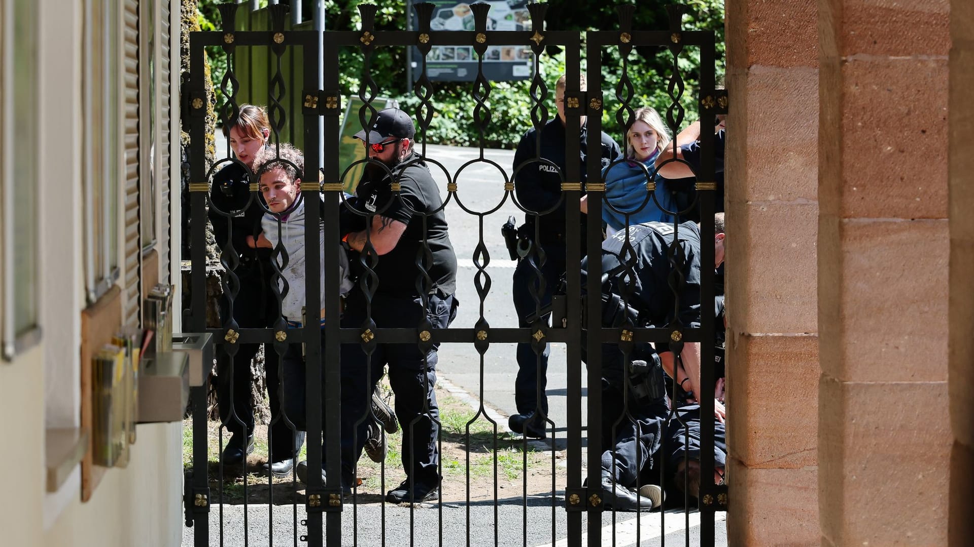 Debatte über Pavian-Tötung - Tiergarten ein Tag geschlossen