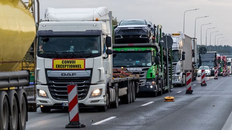 Lkw stauen sich an der Autobahn A15, an der Grenze zwischen Polen und Deutschland(Archivbild): Die Wirtschaft befürchtet Verkehrsbehinderungen mit der Einführung von Grenzkontrollen in Polen.