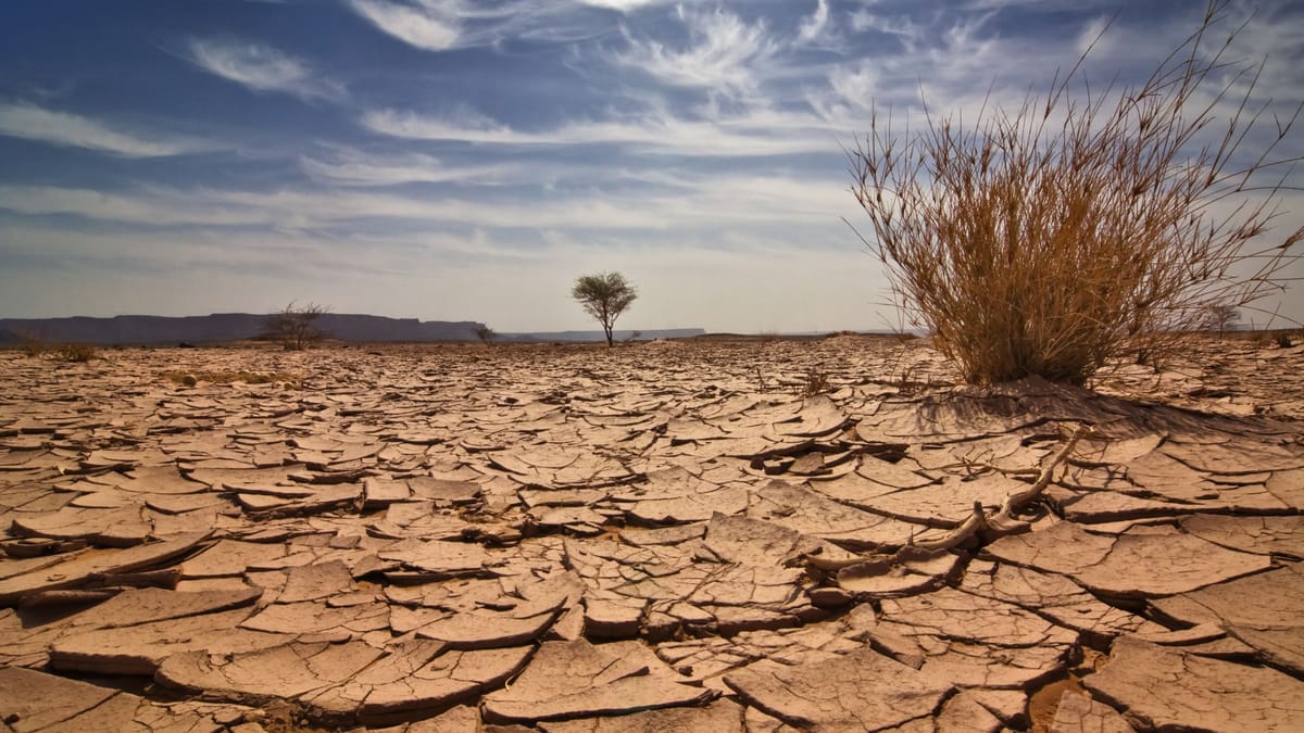 Klimawandel: Hitzewellen belasten Gesundheit und Wirtschaft drastisch
