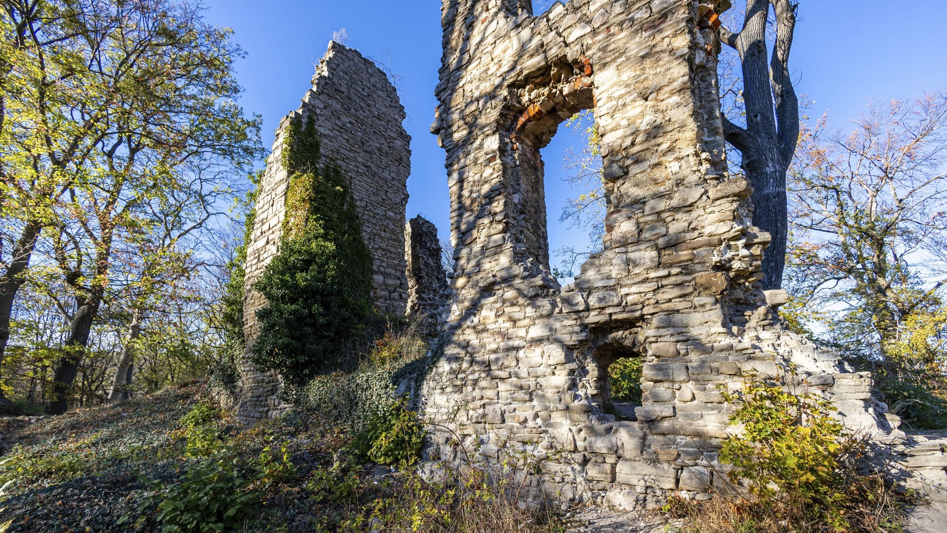 Die Burgruine Stecklenburg im Harz: Sie liegt auf einer kleinen Anhöhe und ist ein geschütztes Denkmal.
