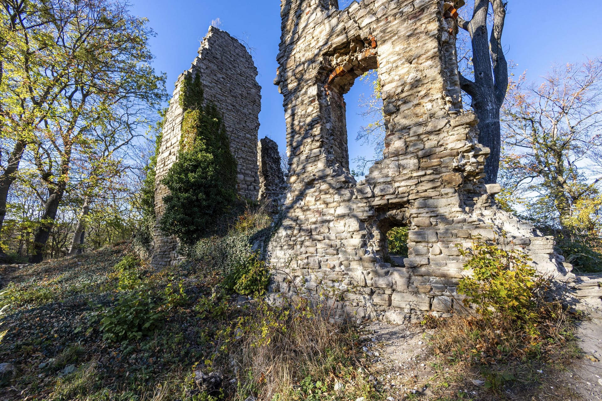 Die Burgruine Stecklenburg im Harz: Sie liegt auf einer kleinen Anhöhe und ist ein geschütztes Denkmal.