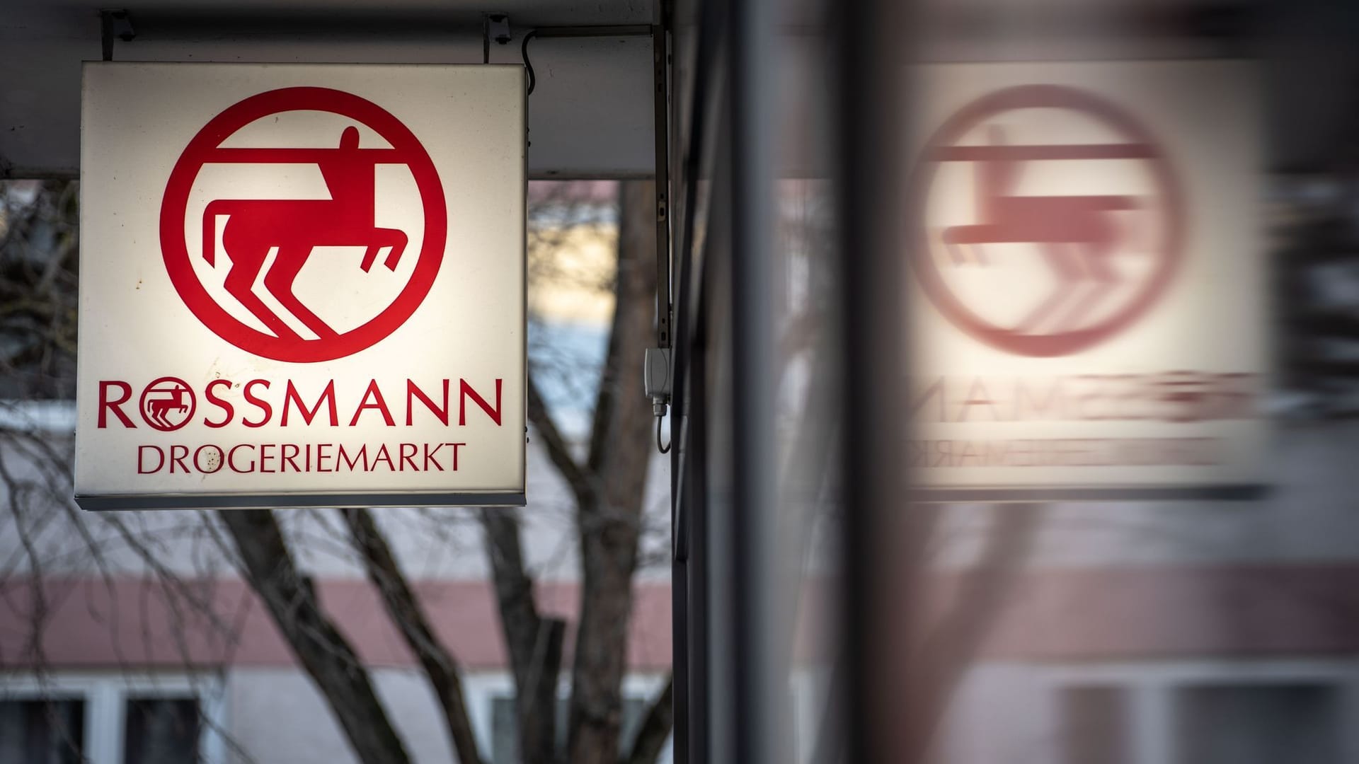 Rossmann verbucht Rekordjahr