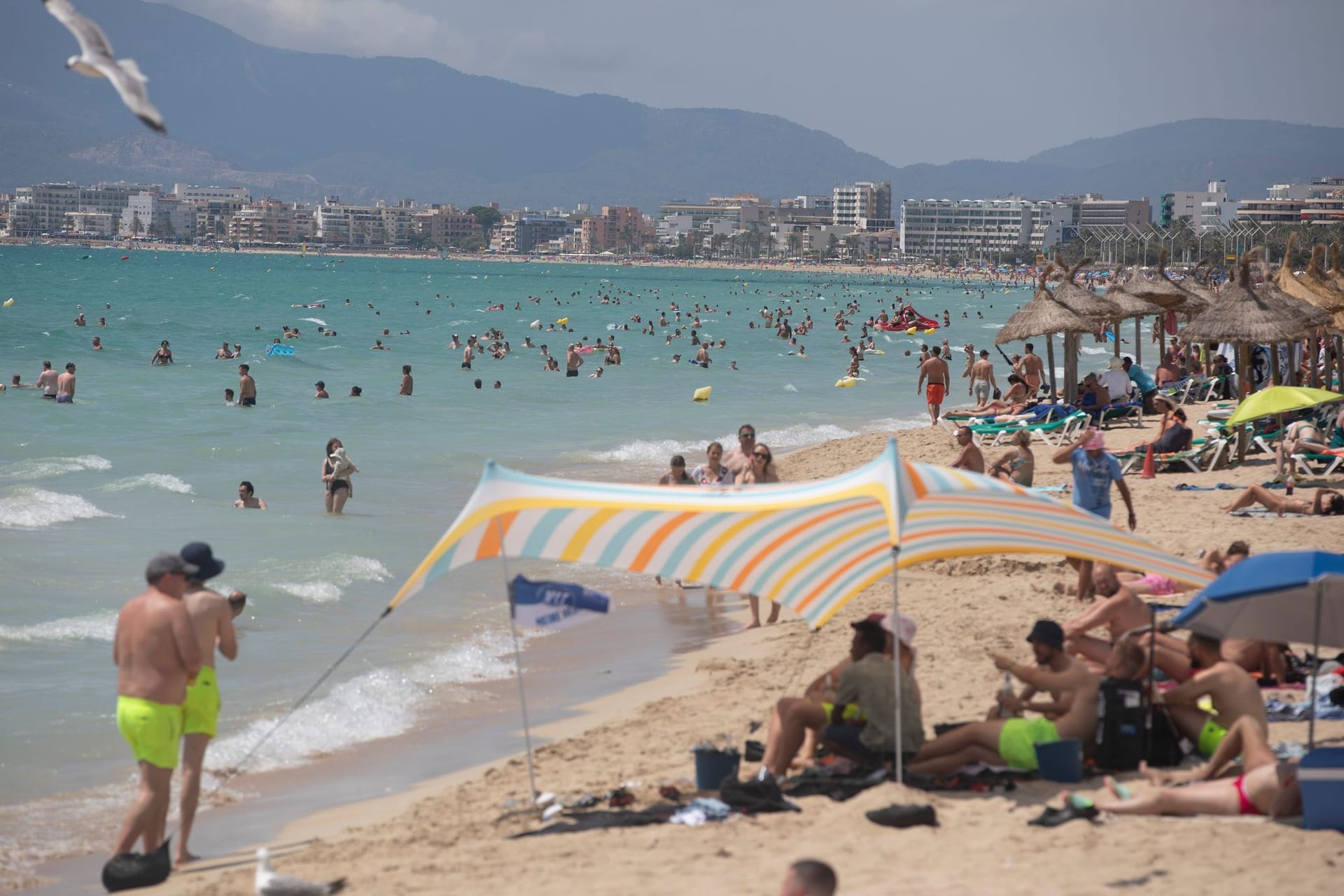 Playa de Palma