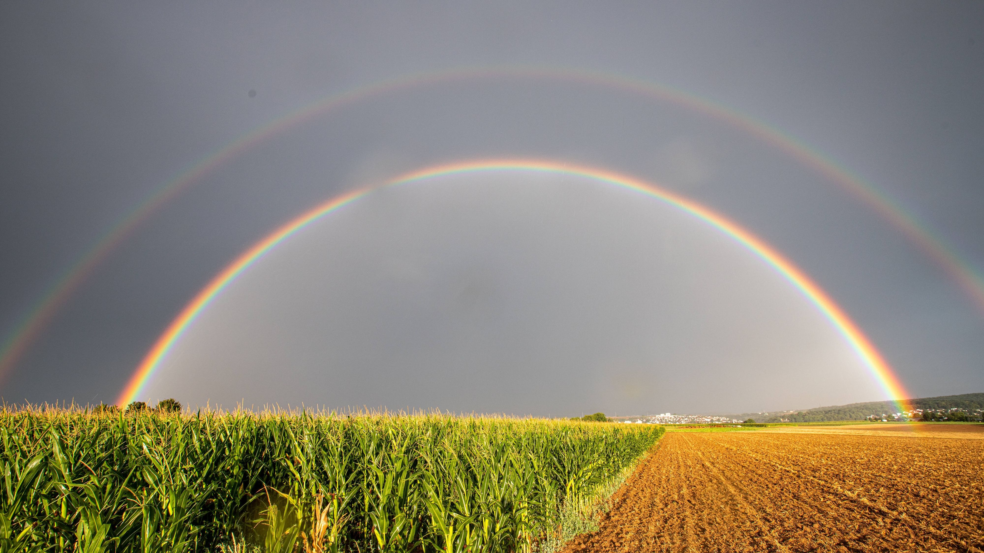 Wetter in Deutschland bleibt im August sprunghaft. Die Modelle rechnen mit einem Auf und Ab der Temperaturen.
