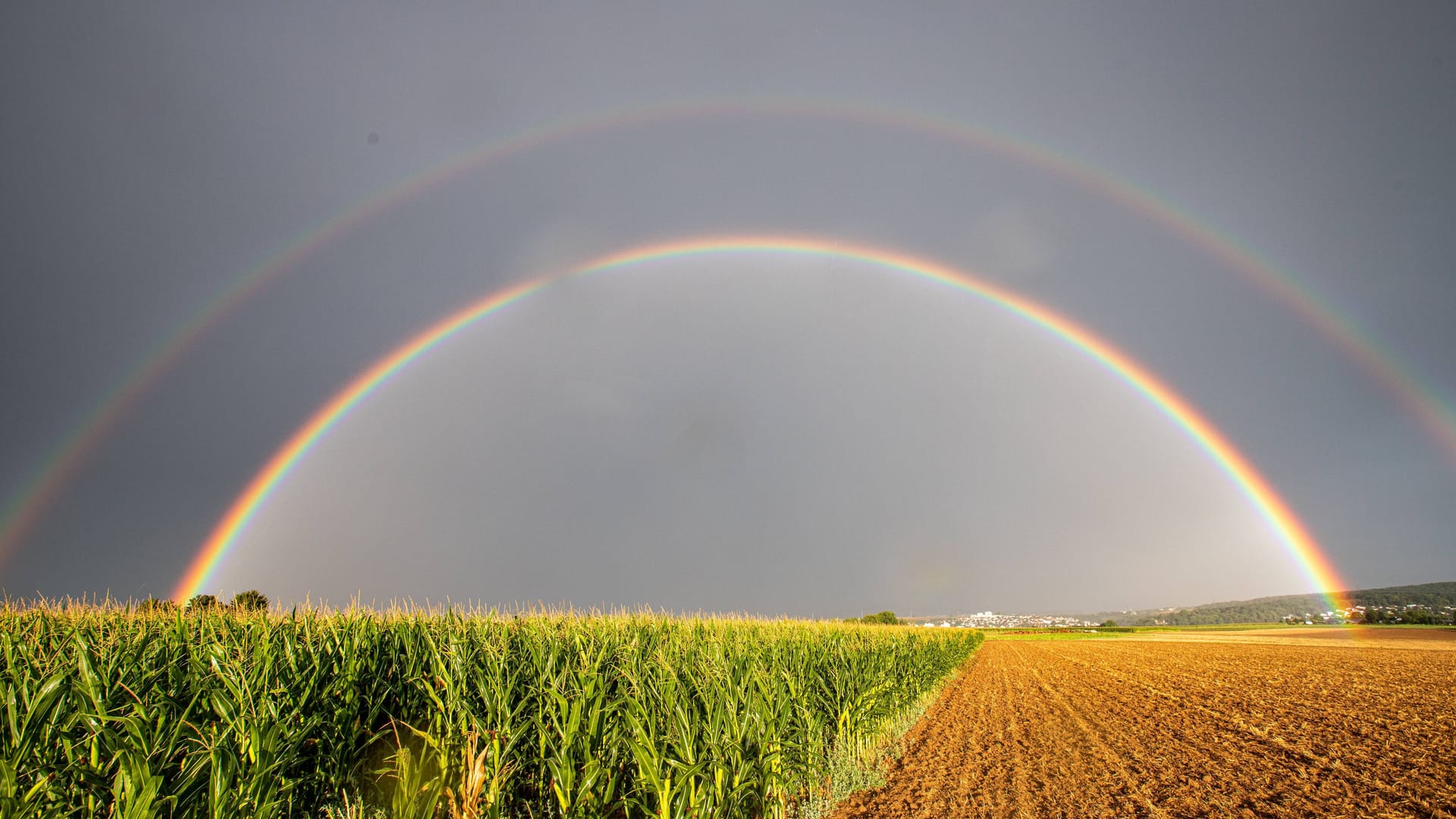 Wetter in Deutschland bleibt im August sprunghaft. Die Modelle rechnen mit einem Auf und Ab der Temperaturen.