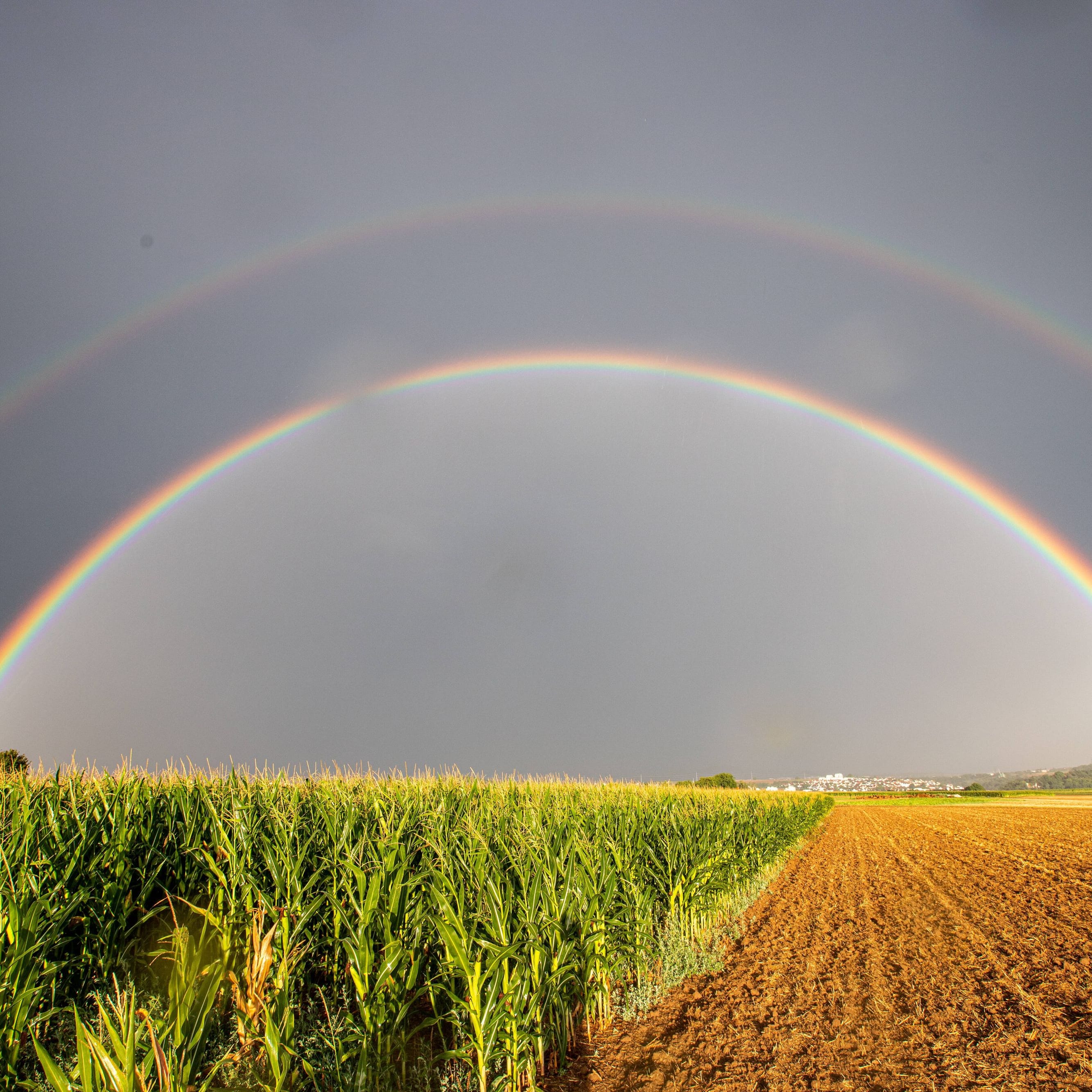 Wetter in Deutschland bleibt im August sprunghaft. Die Modelle rechnen mit einem Auf und Ab der Temperaturen.