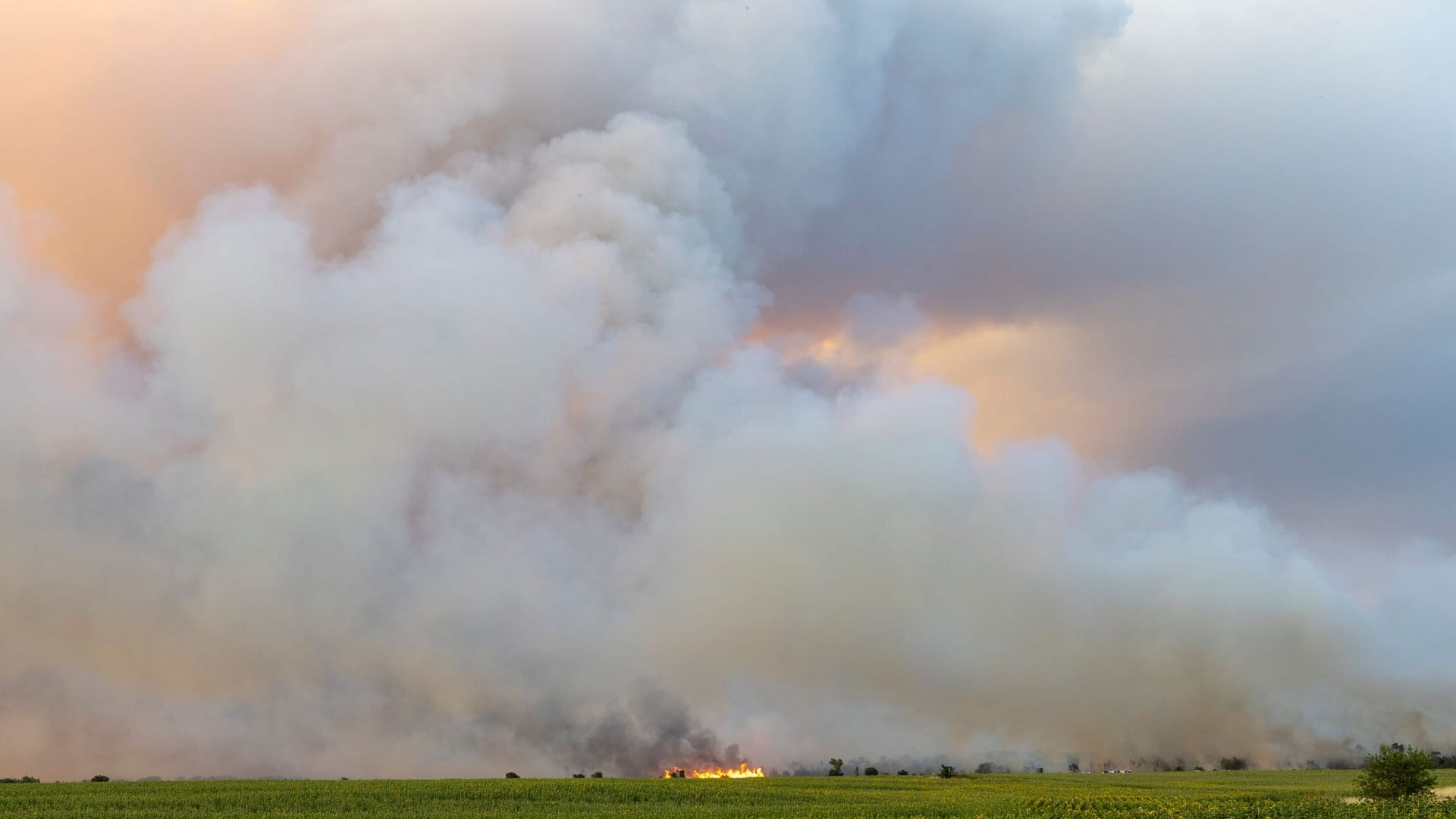 Waldbrand in der Gohrischheide