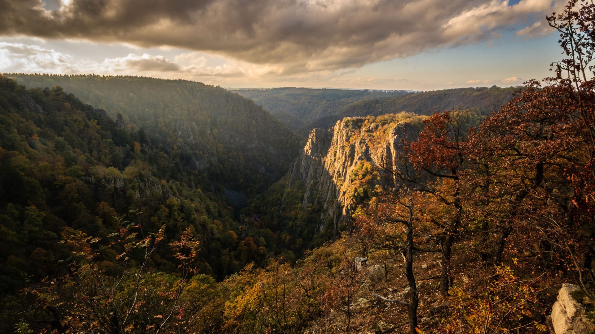 Quelle: Getty Images/ Stefan Wille