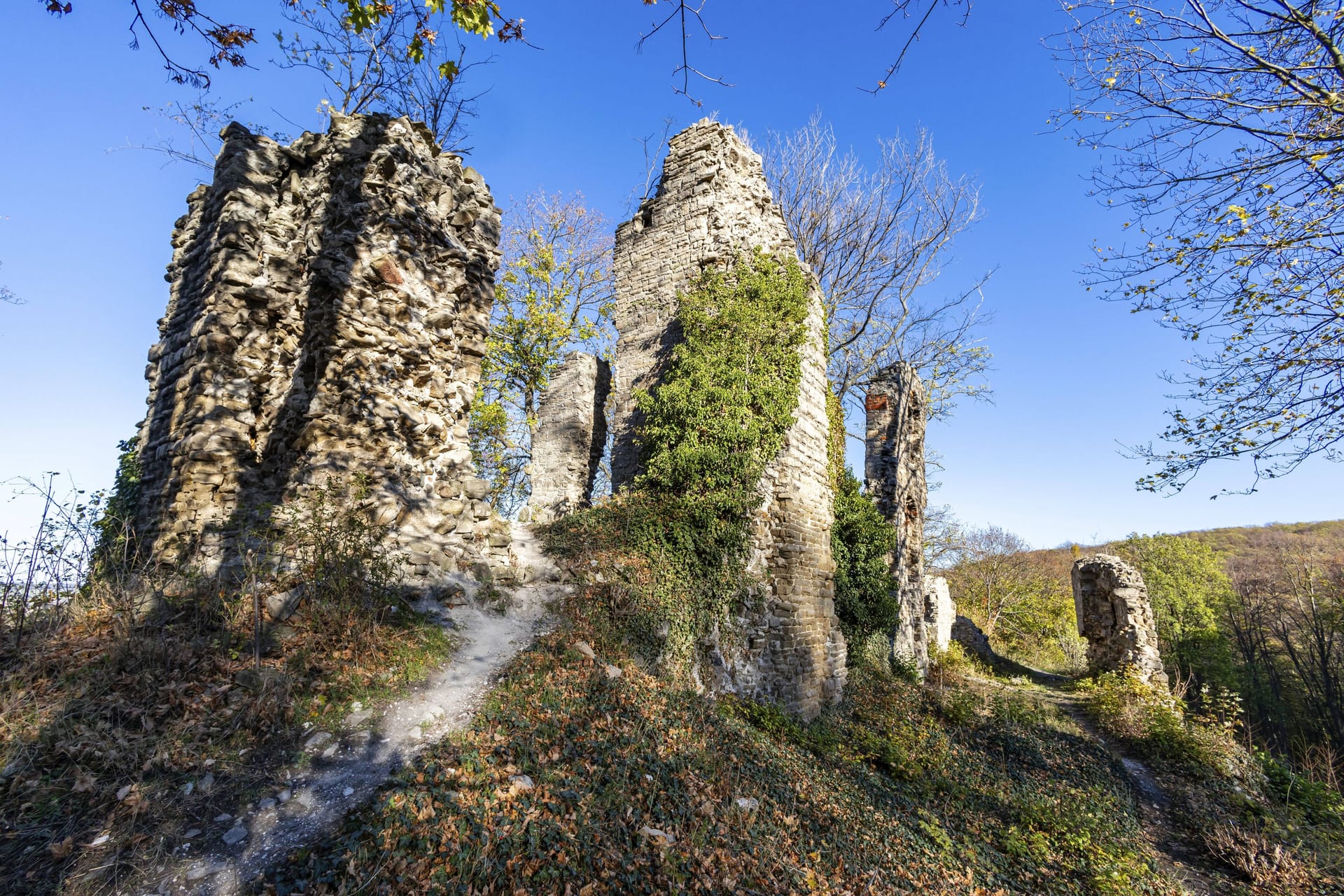 Blick auf die Burgruine Stecklenburg (Archivbild): Der Stecklenberger Rundweg bietet Wanderern sehenswerte Denkmäler.