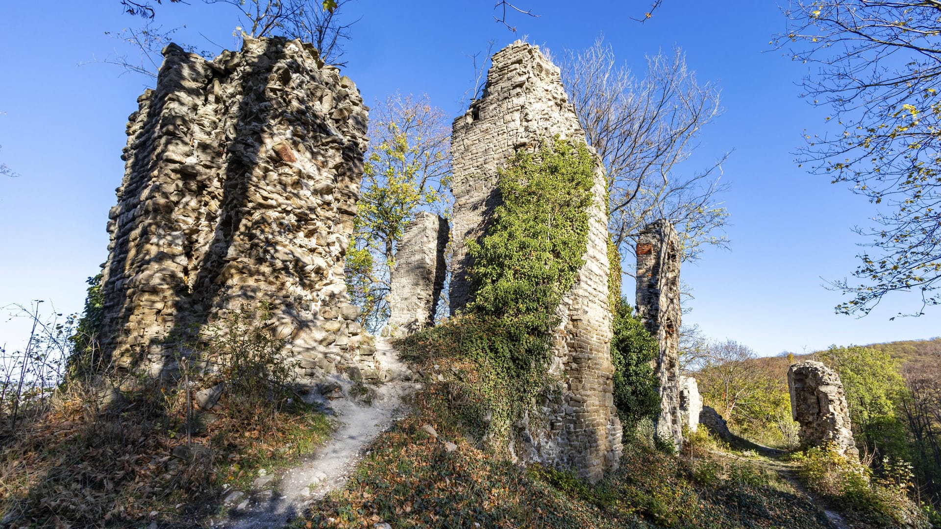Blick auf die Burgruine Stecklenburg (Archivbild): Der Stecklenberger Rundweg bietet Wanderern sehenswerte Denkmäler. Blick auf die Burgruine Stecklenburg (Archivbild): Der Stecklenberger Rundweg bietet Wanderern sehenswerte Denkmäler.
