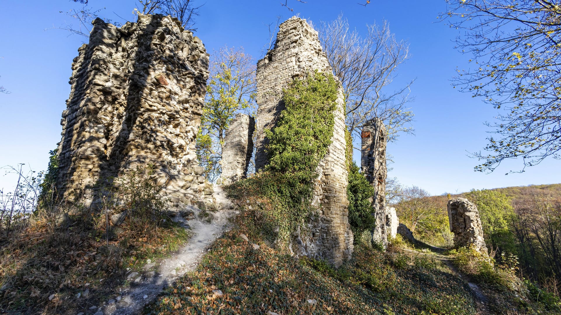 Blick auf die Burgruine Stecklenburg (Archivbild): Der Stecklenberger Rundweg bietet Wanderern sehenswerte Denkmäler.