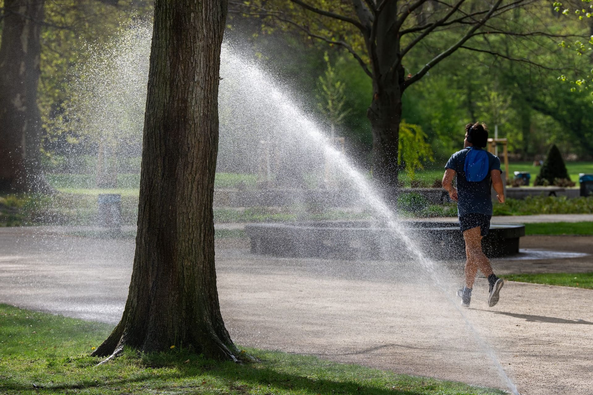 Joggen im Treptower Park