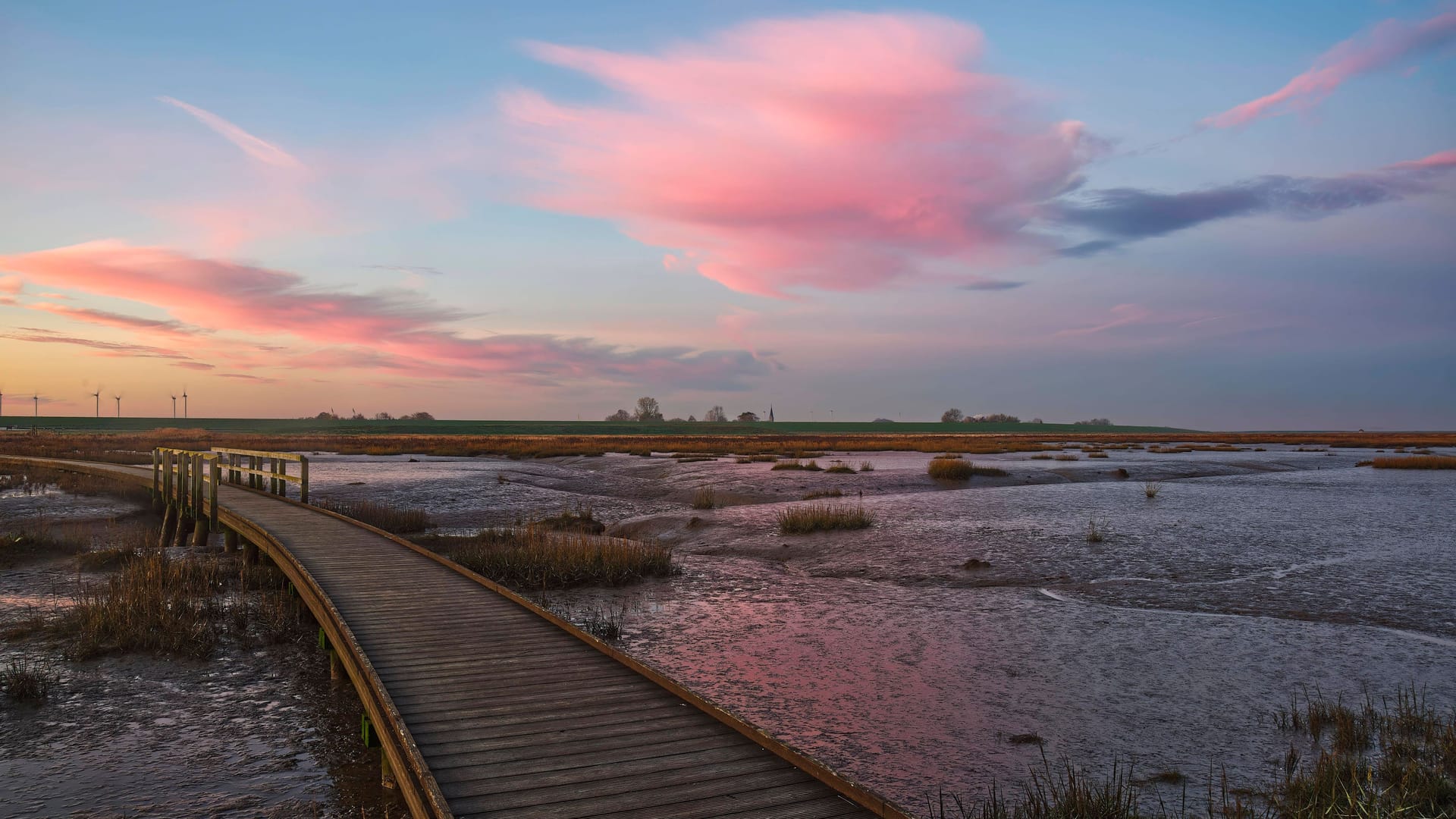 Sonnenaufgang im Naturschutzgebiet Langwarder Groden: Hier kann man gut Vögel beobachten.