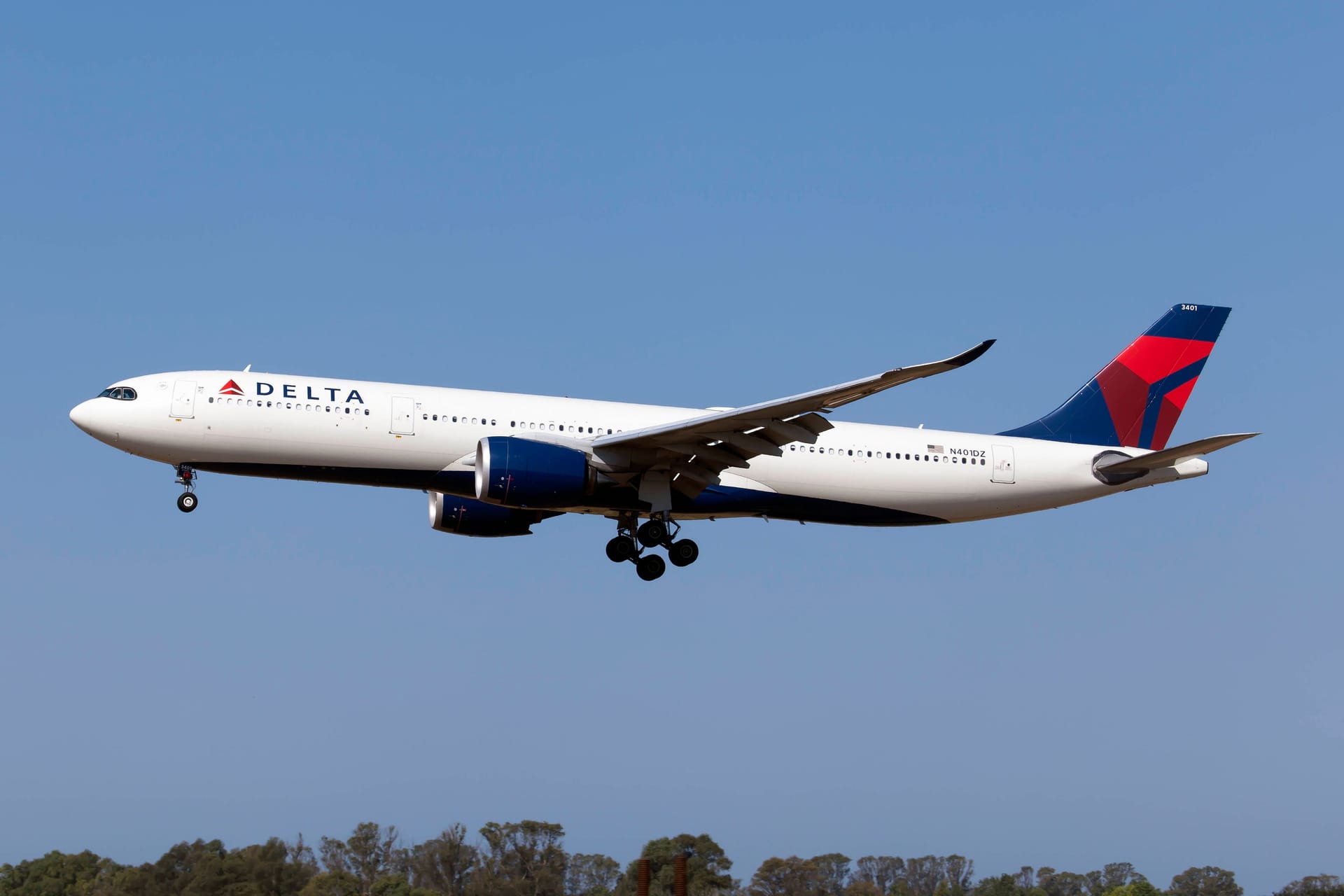 Ein Airbus 330-900 von Delta Airlines (Archivbild): Am eigentlichen Zielort Amsterdam kam die Maschine nicht an.