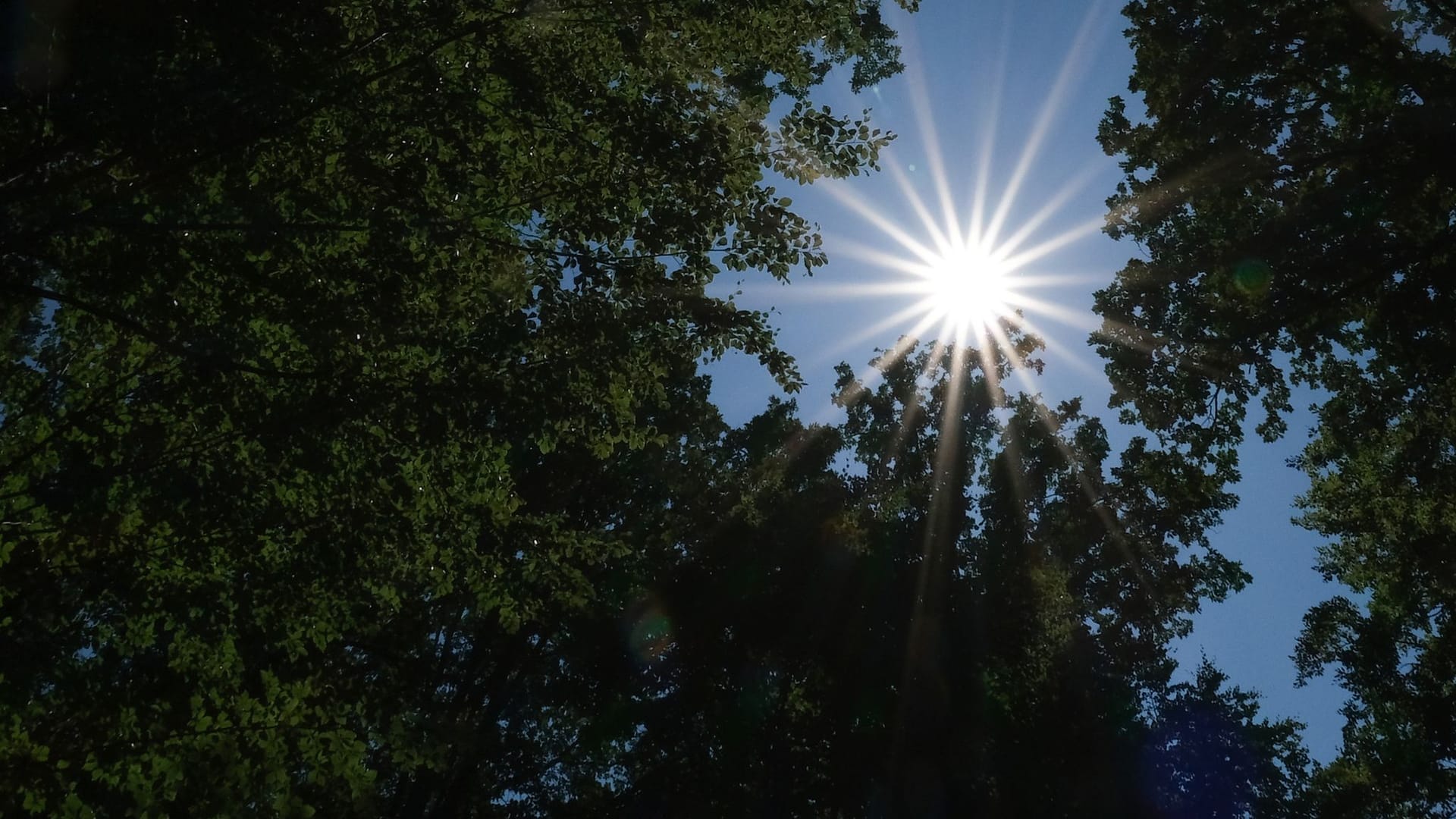 Wetter Stuttgart Wetter Stuttgart