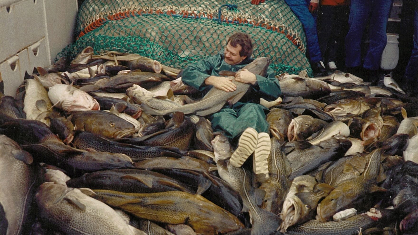 Dorsche im März 1987: Damals waren die Tiere noch viel größer.