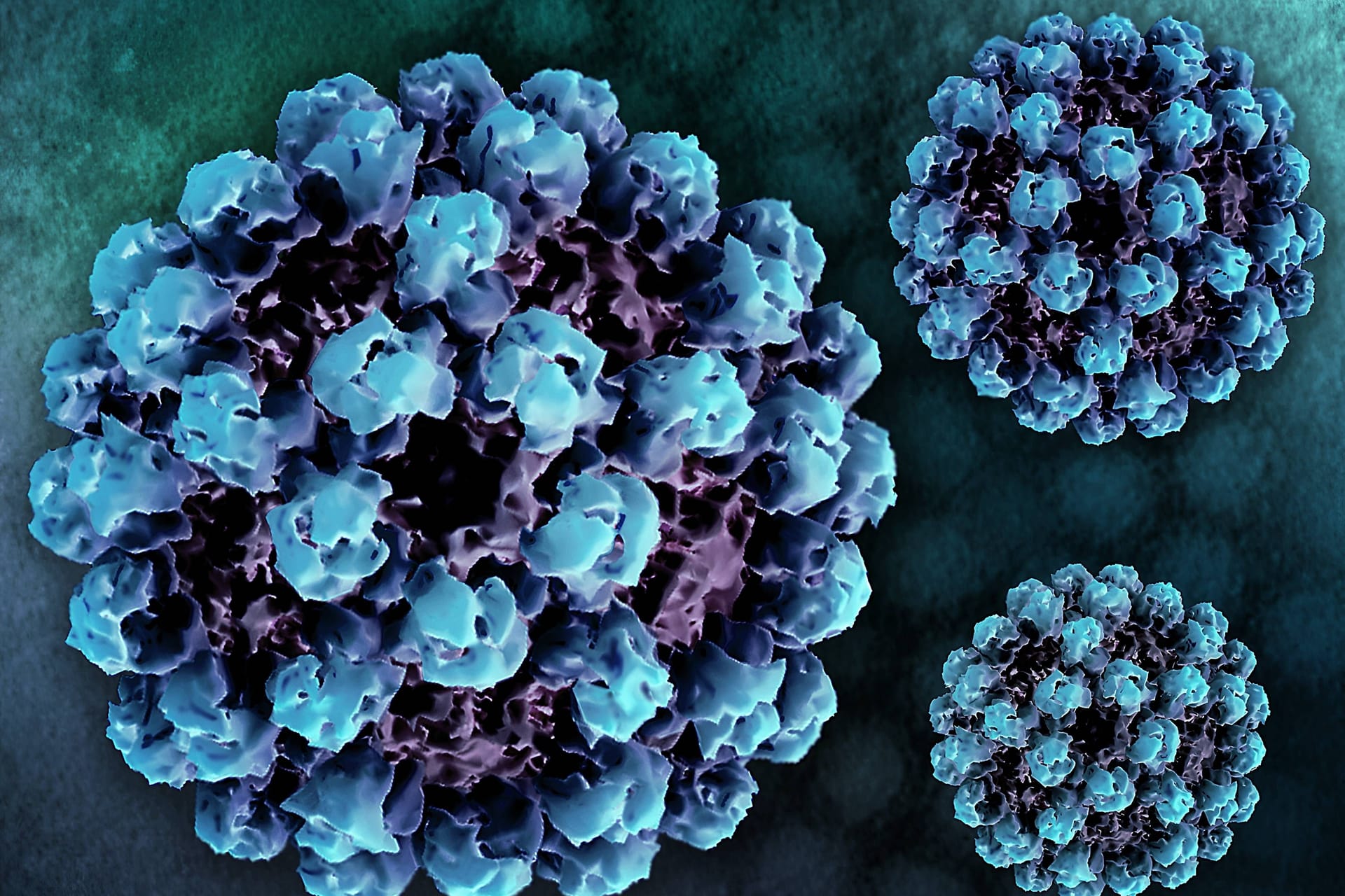 Norovirus: Eine Infektion kann zu gefährlichem Flüssigkeitsverlust führen.