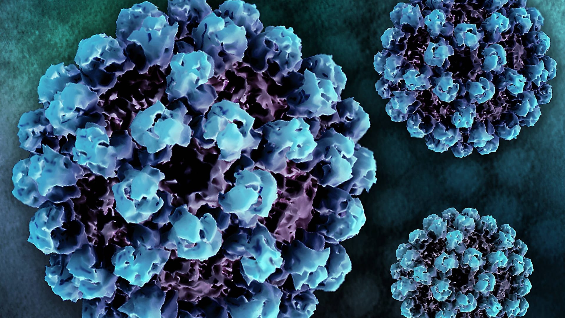 Norovirus: Eine Infektion kann zu gefährlichem Flüssigkeitsverlust führen.