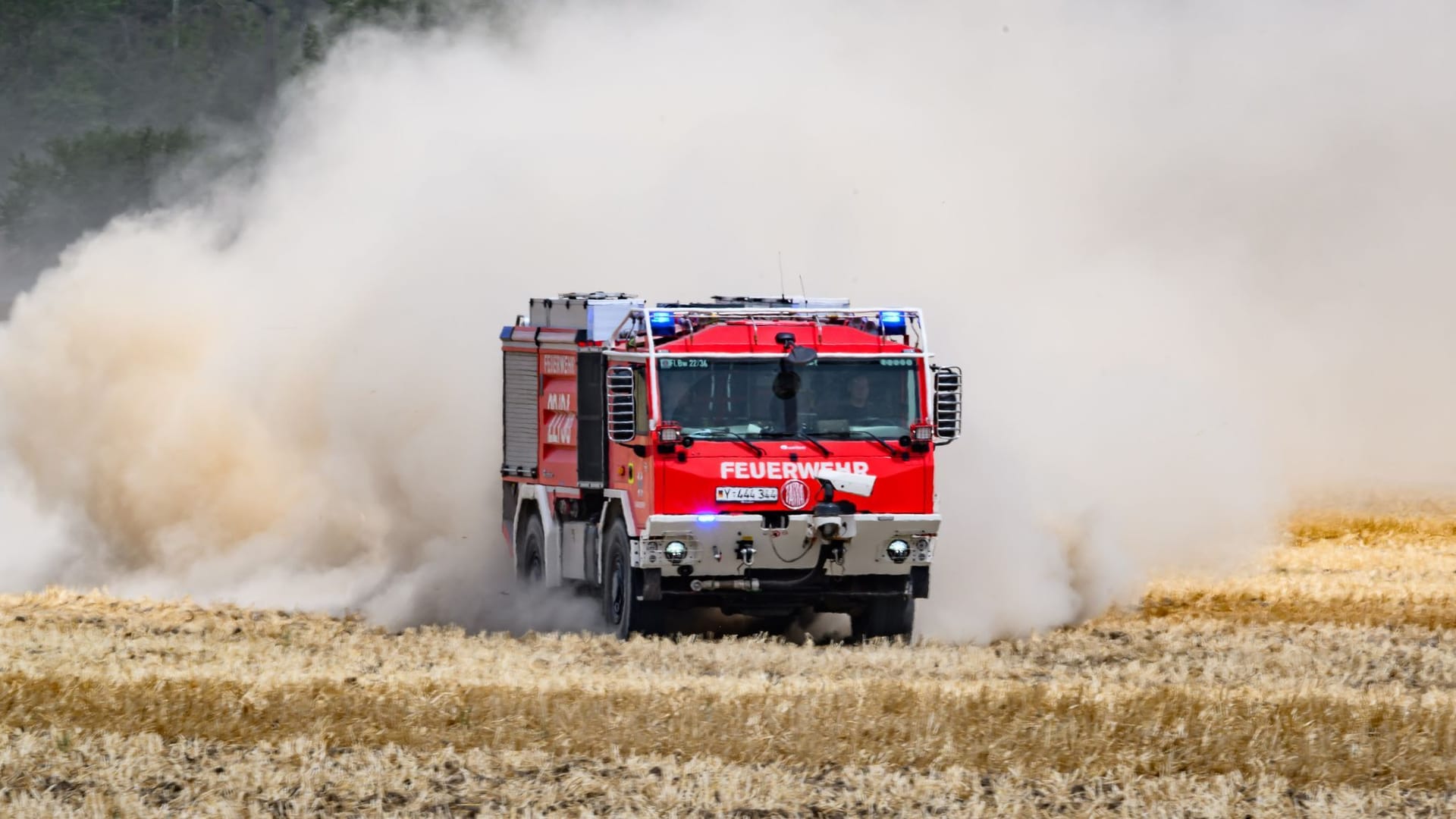 Waldbrand in der Gohrischheide