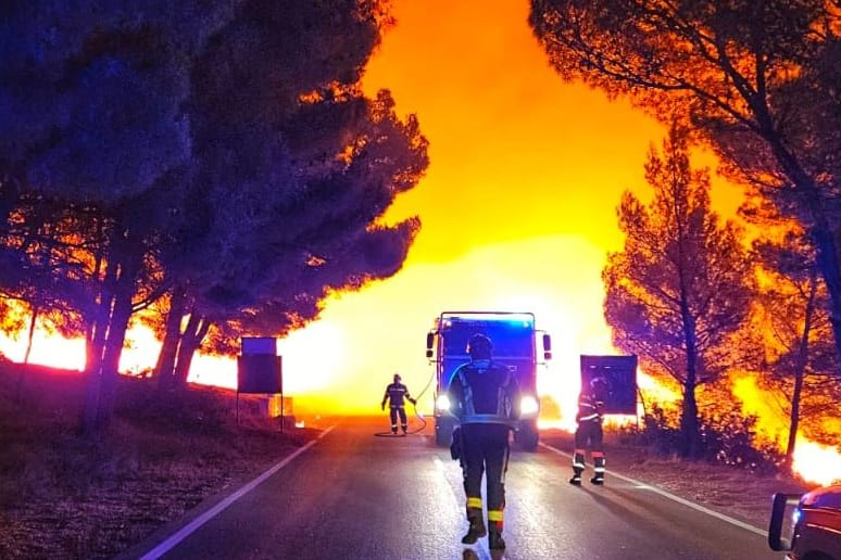 Flammen wüten auf der kroatischen Insel Brač: Für Touristen endete der Urlaub abrupt.