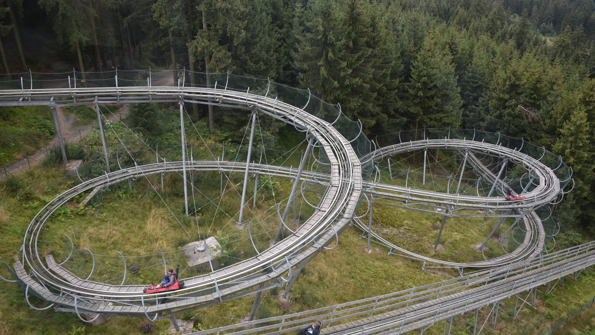 Abfahrt im Harz: wer traut sich auf die Rodelbahnen auf dem Bocksberg?