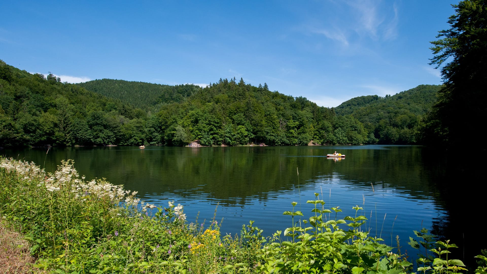 Der Wiesenbeker See: Das Gewässer verspricht Erholung und Abgeschiedenheit.