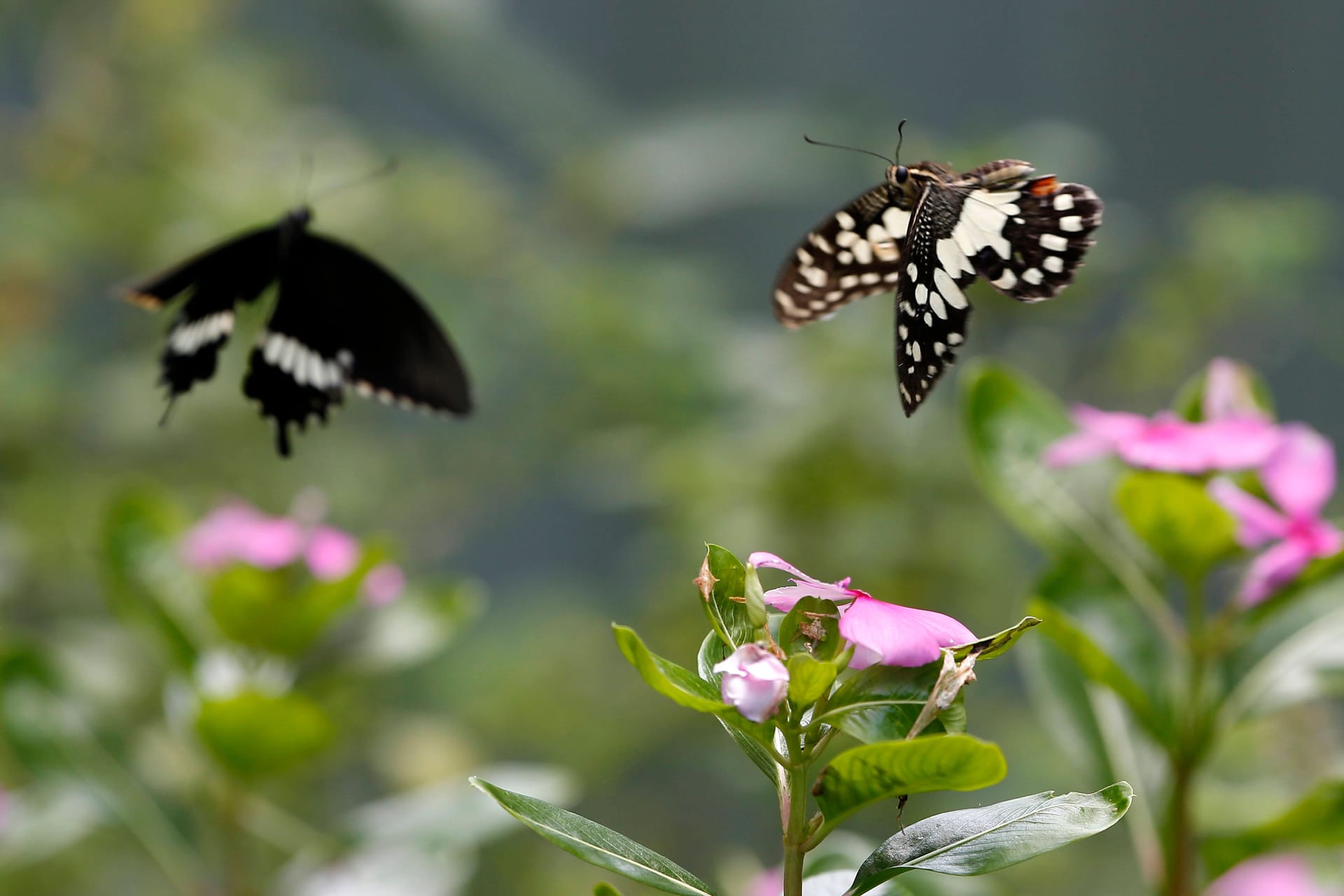 imago images 0765357112