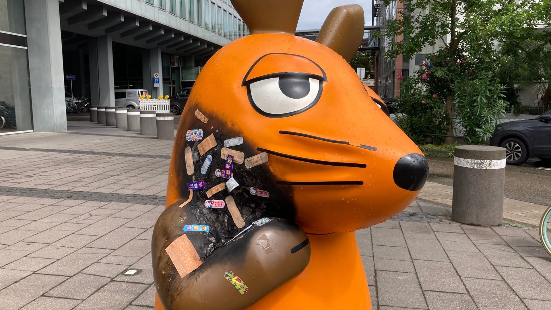 Pflaster für die Maus Pflaster für die Maus