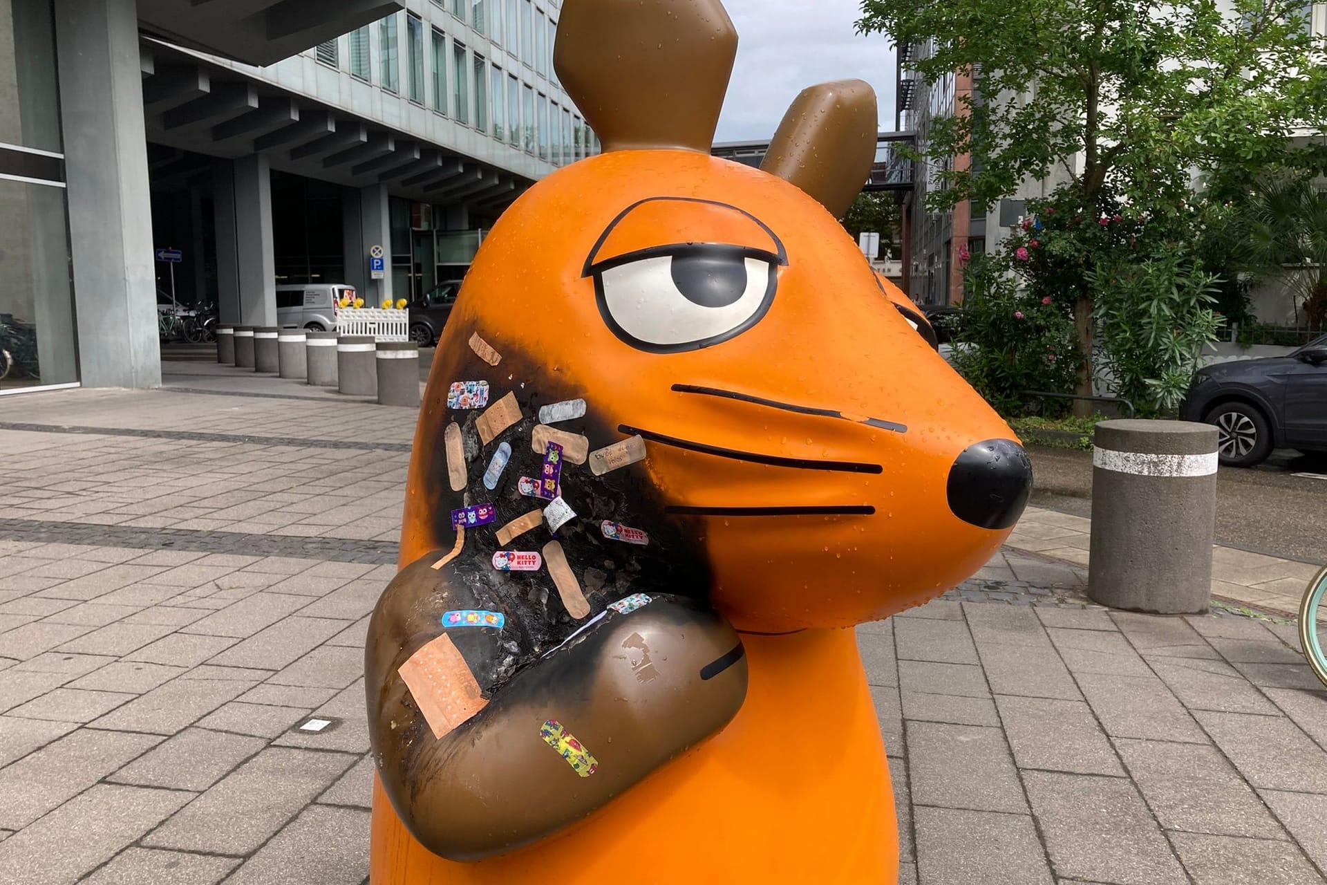 Pflaster für die Maus