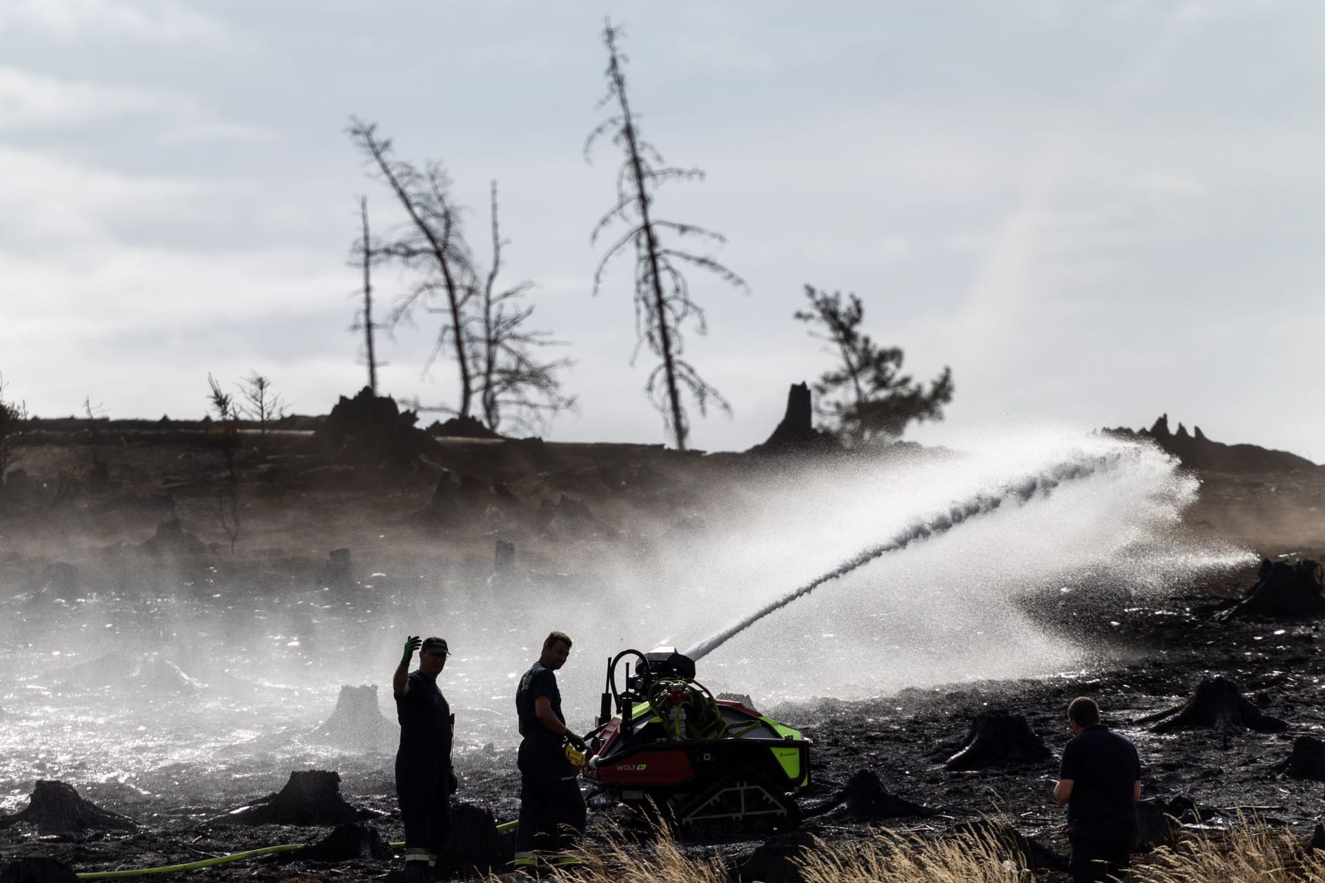 Waldbrand in Thüringen - Saalfelder Höhe