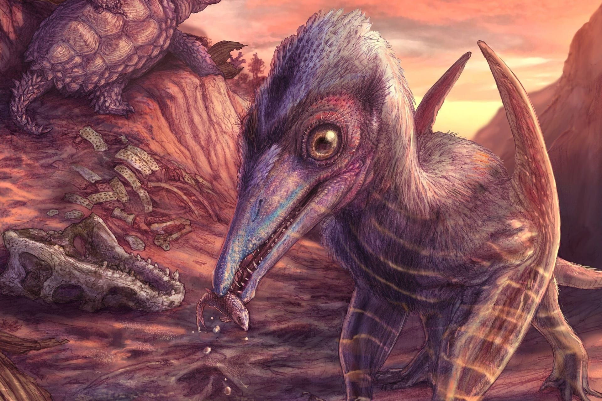 Etwa so groß wie eine Möwe: So könnte Eotephradactylus mcintireae ausgesehen haben.
