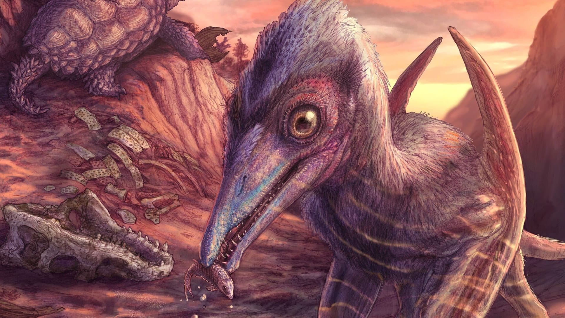 Etwa so groß wie eine Möwe: So könnte Eotephradactylus mcintireae ausgesehen haben.