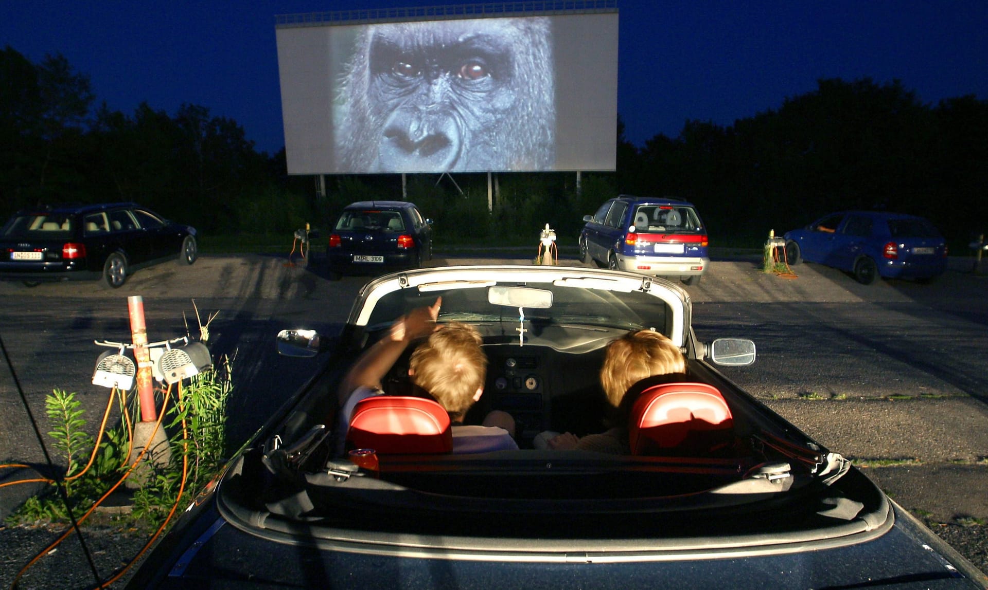 Pärchen im Autokino in Aschheim bei München (Archivbild): In Bayerns Landeshauptstadt gibt es an mehreren Orten Kinos im Freien. Pärchen im Autokino in Aschheim bei München (Archivbild): In Bayerns Landeshauptstadt gibt es an mehreren Orten Kinos im Freien.