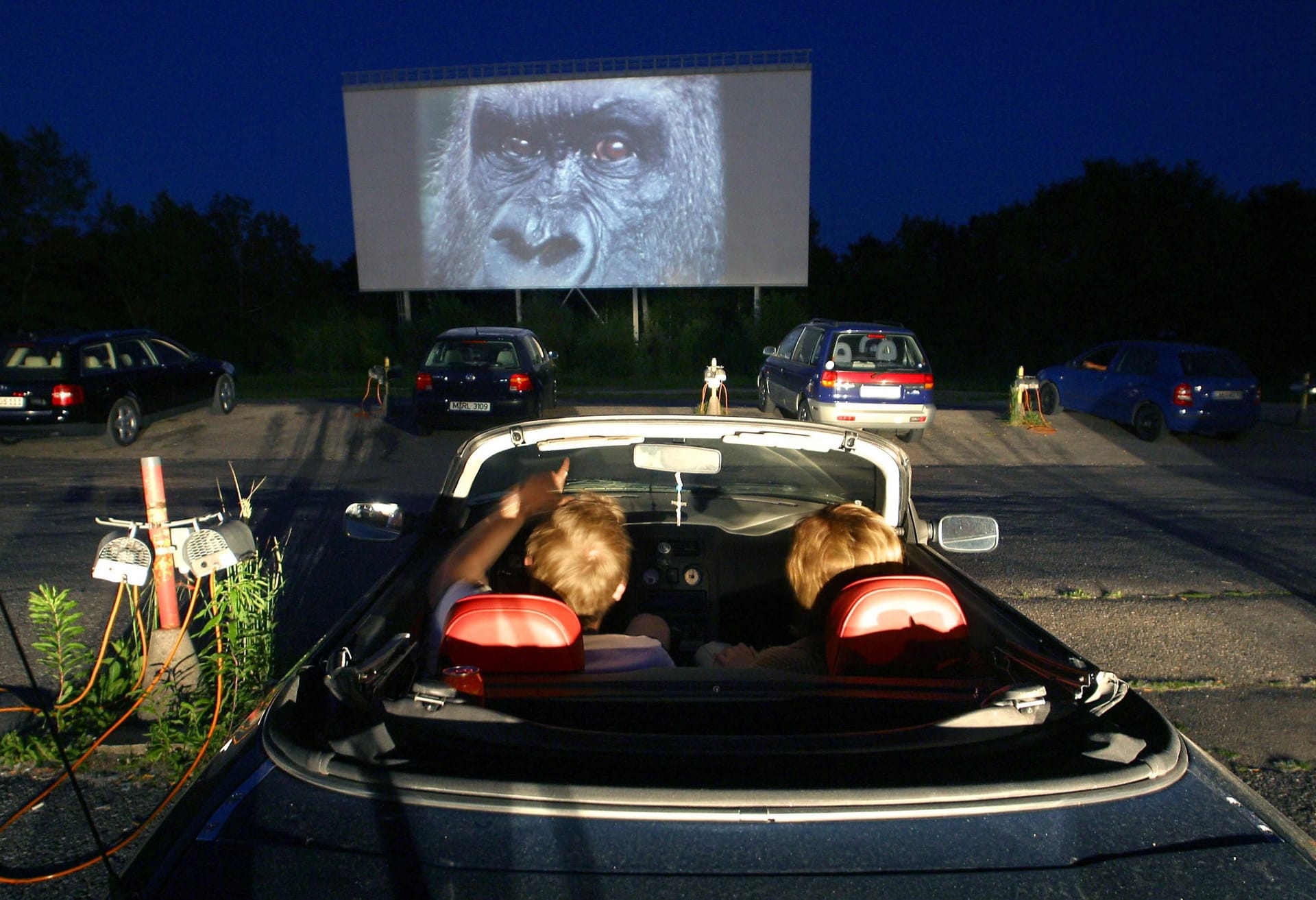 Pärchen im Autokino in Aschheim bei München (Archivbild): In Bayerns Landeshauptstadt gibt es an mehreren Orten Kinos im Freien.