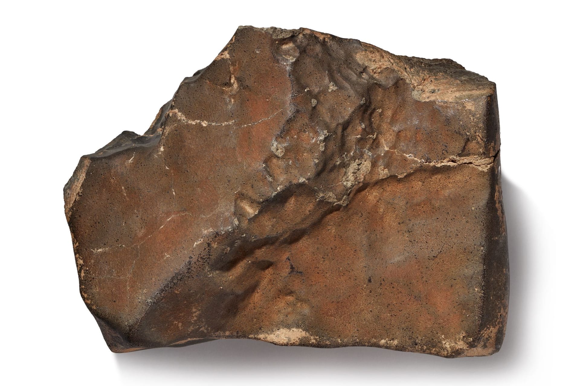 Das von Sotheby's zur Verfügung gestellte Foto zeigt ein Stück Mars-Meteorit (undatierte Aufnahme). New York bis zu vier Millionen Dollar (etwa 3,4 Millionen Euro) einbringen.