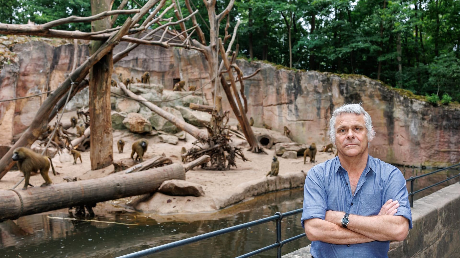 Tiergarten Nürnberg - Direktor Dag Encke