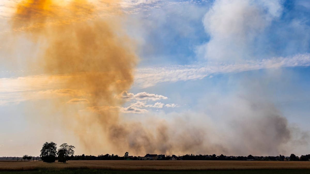 Waldbrand in Gohrischheide: Rauch zieht bis nach Berlin – Lage stabil