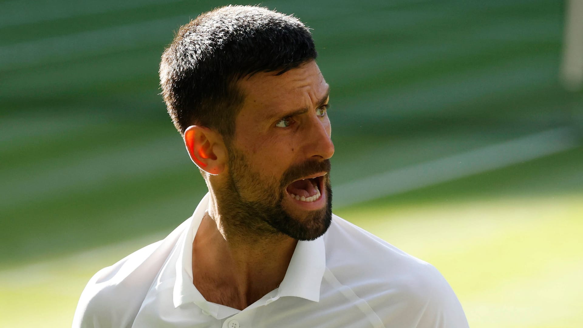 Gefordert: Novak Djoković will seinen achten Titel in Wimbledon. Dafür muss er erst im Halbfinale gegen Jannik Sinner bestehen.