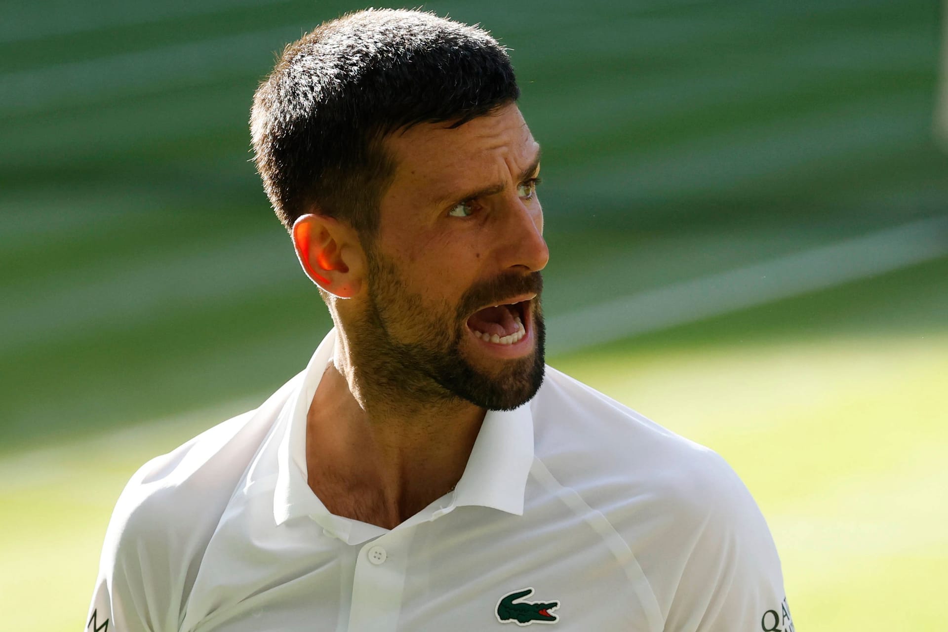 Gefordert: Novak Djoković will seinen achten Titel in Wimbledon. Dafür muss er erst im Halbfinale gegen Jannik Sinner bestehen.