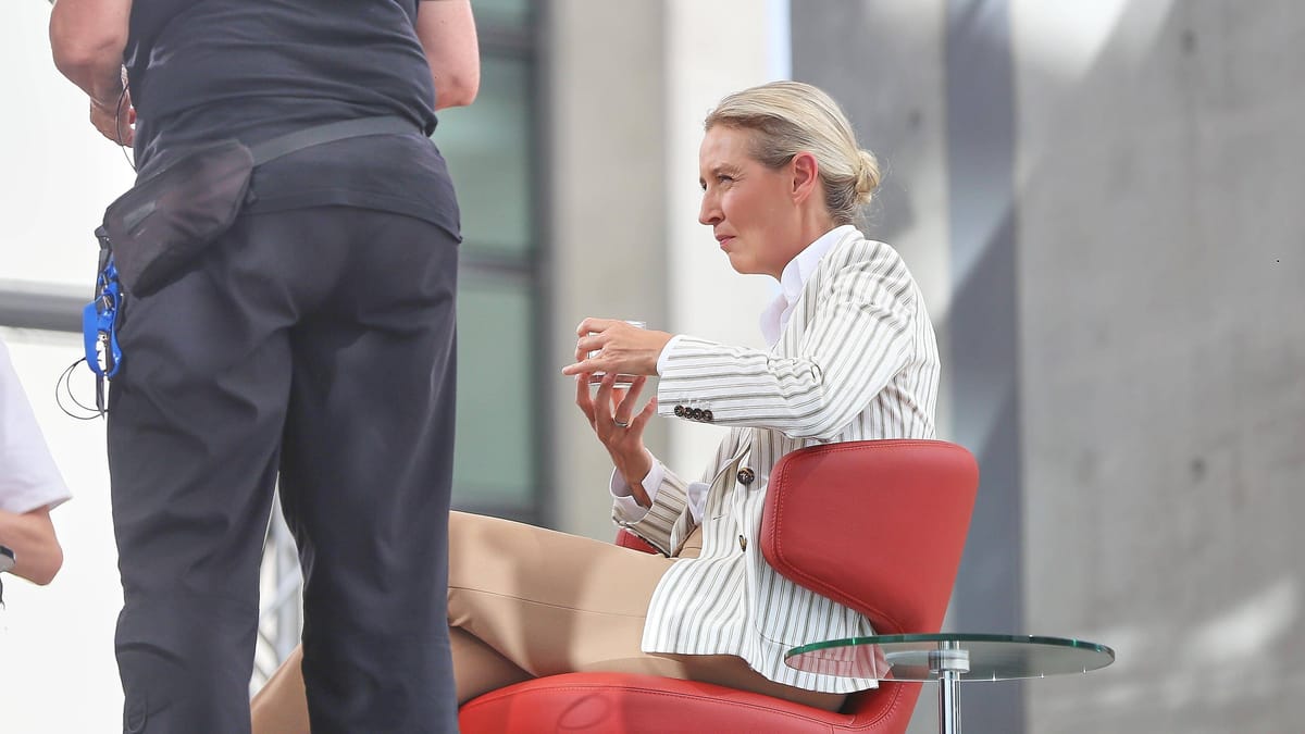 Aktivisti naj bi v sodelovanju s policijo in ARD prekinili intervju z Alice Weidel