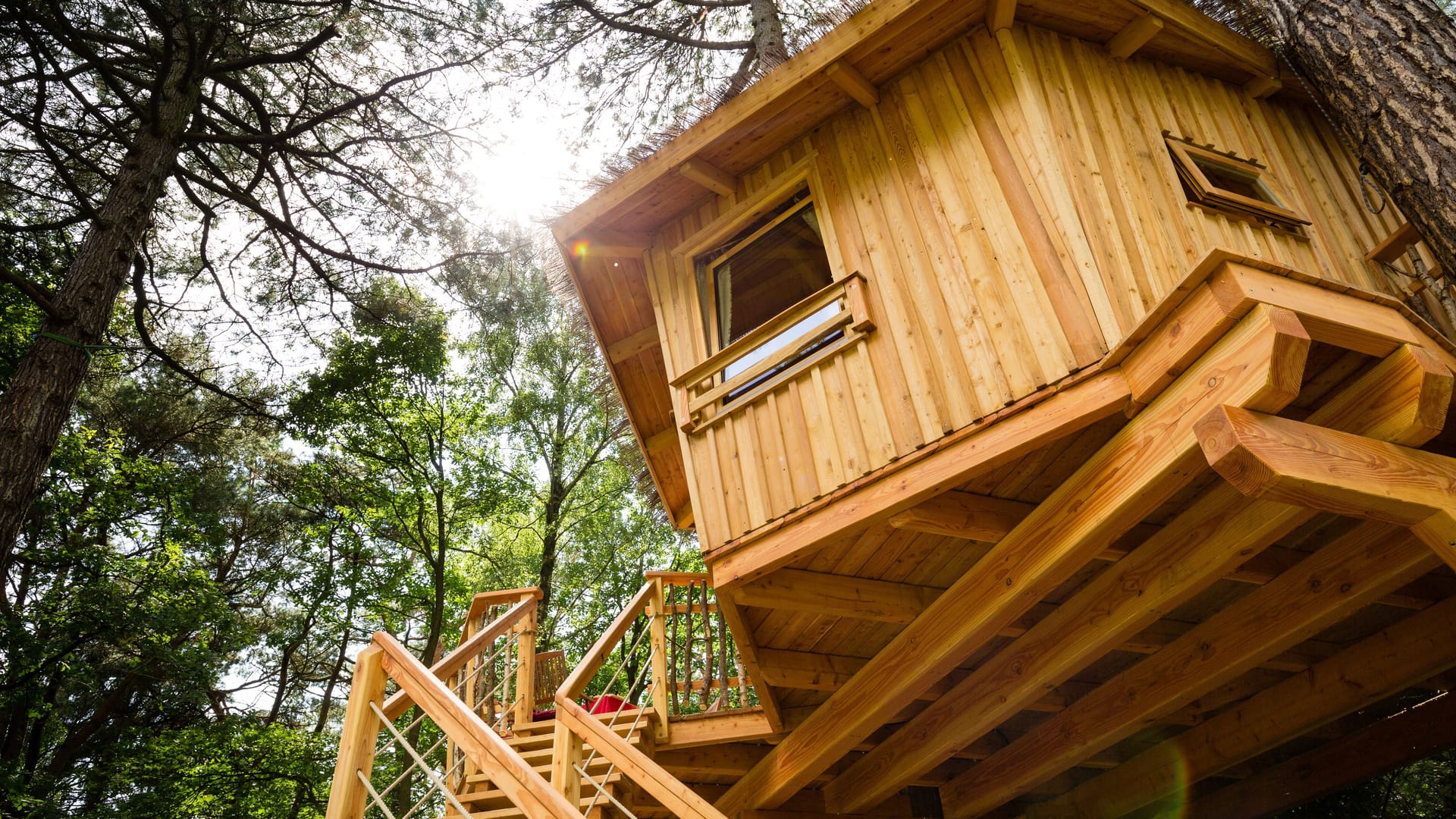 Ein Glamping-Baumhaus in der Treelounge Cuxhaven: Das luxuriöse Campen wird immer beliebter.