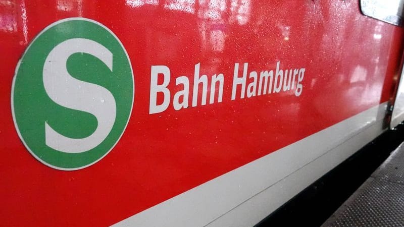 Ein S-Bahn-Waggon steht am Hamburger Hauptbahnhof (Symbolbild): Für einen 26-Jährigen kam jede Hilfe zu spät.