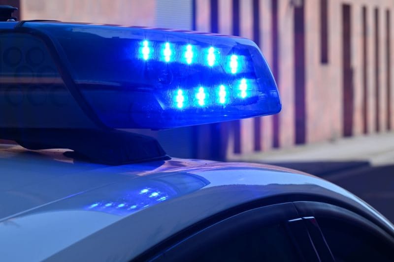 Ein Polizeifahrzeug mit eingeschaltetem Blaulicht (Symbolbild): Im Heilkräuterweg in Berlin-Pankow stellten die Beamten gefährliche Gegenstände sicher.