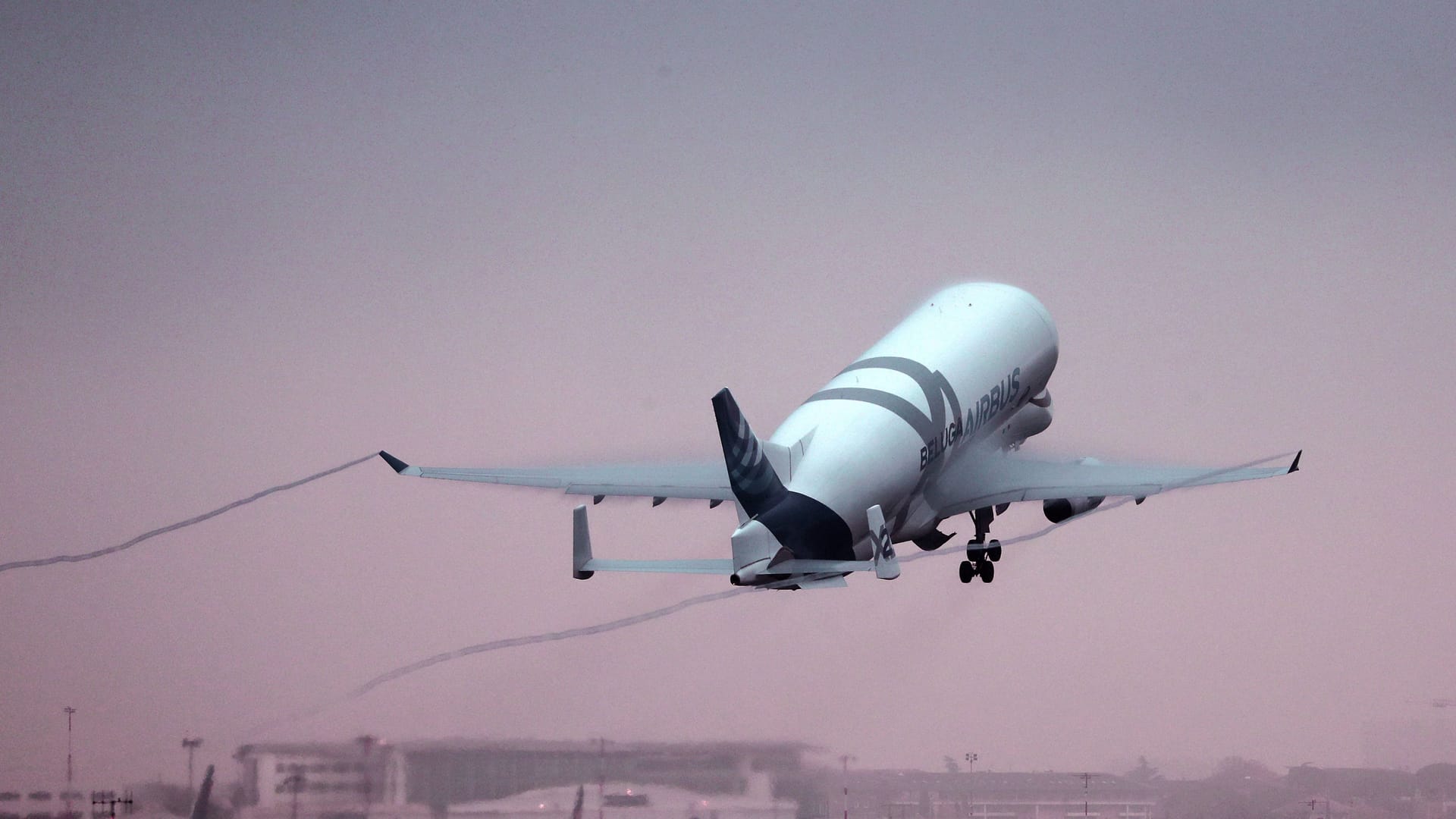Airbus Beluga beim Start in Toulouse (Symbolfoto): Ein Flug des "weißen Wals" nach Bremen musste am Dienstag unterbrochen werden. Airbus Beluga beim Start in Toulouse (Symbolfoto): Ein Flug des "weißen Wals" nach Bremen musste am Dienstag unterbrochen werden.